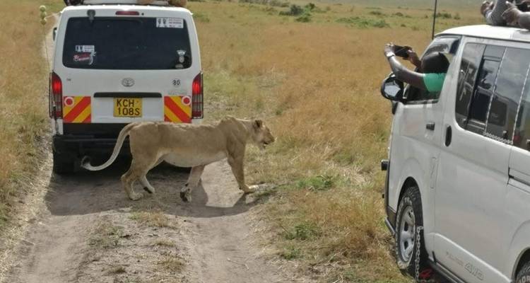 3-Day Maasai Mara Private Safari at Keekorok Lodge from Nairobi - Perfect Safari Africa tours and safaris 3