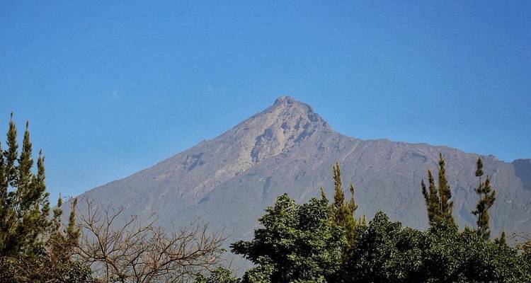 Distant mountain surrounded by trees and blue sky.
