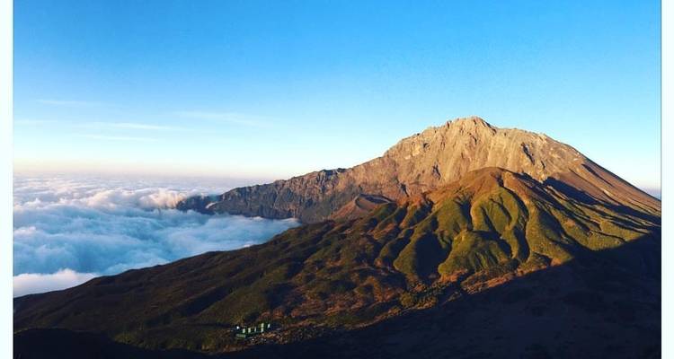 View of a mountain peak rising above clouds.