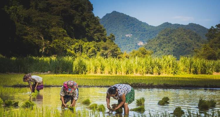 Exotic Loop From Untouched Far North Mountains To Ha Long Bay Tour 5 Days - Conical Travel 2