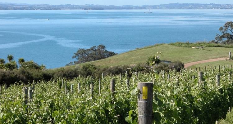 5 Day North Island Highlights Self Drive Tour - Discover New Zealand 7