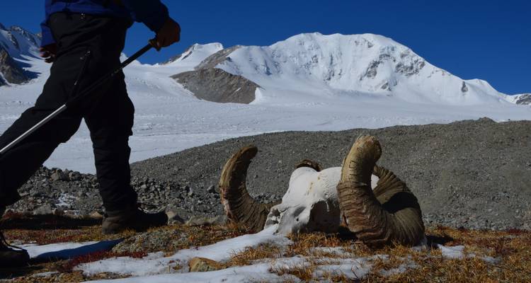 Mongolia's highest peak, Climb to Mt.Khuiten - Discover Altai 9