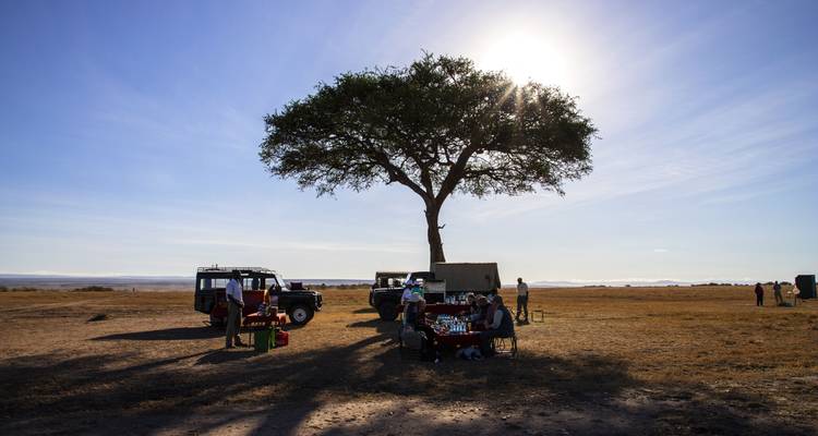 Safari de 7 jours d'Amboseli, Naivasha, Nakuru et Mara à Nairobi avec une première nuit gratuite à l'hôtel After 40 à Nairobi et prise en charge gratuite à l'aéroport. - Perfect Safari Africa tours and safaris 7