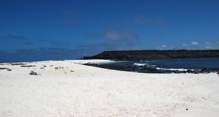 Galapagos Experience Volunteering & Travel  3 Weeks - Lead Adventures  3