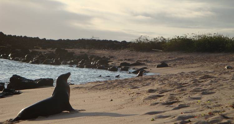 Galapagos Experience Volunteering & Travel  3 Weeks - Lead Adventures  1