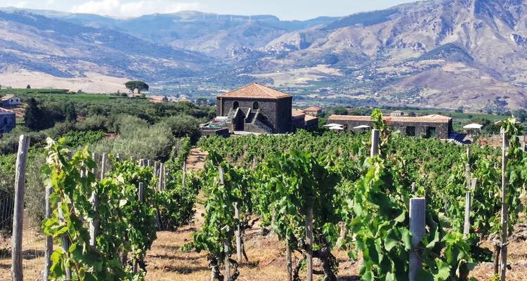 Expérience de l'art du vin et de la gastronomie en Sicile - My Art Collection Travel 7