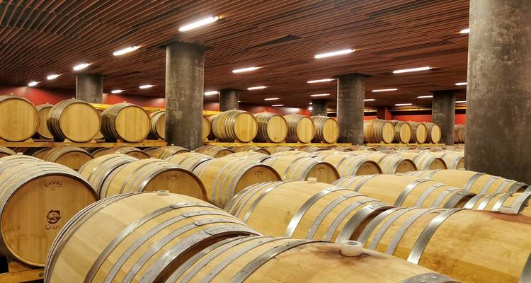 Expérience de l'art du vin et de la gastronomie en Sicile - My Art Collection Travel 9