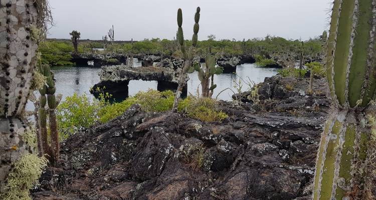 5-Day Galapagos Island Hopping Tour: 3 Islands Adventure - Latin Adventures 9