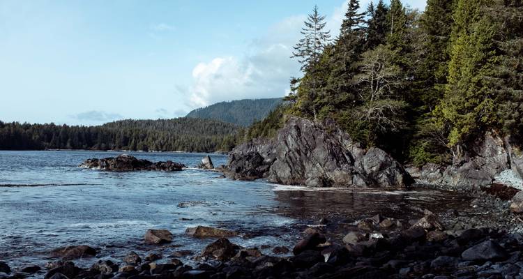 Littoral rocheux avec une forêt de conifères rejoignant les eaux côtières calmes sous un ciel pâle.