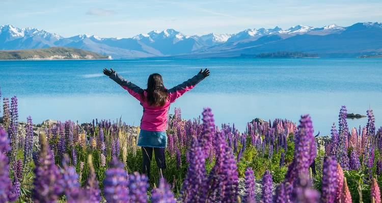 Queenstown to Wellington Highlights - 7 Day Self Drive Tour - Discover New Zealand 10