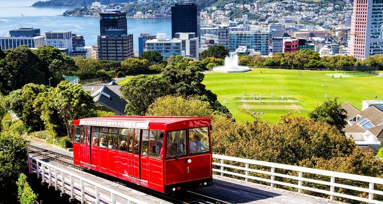 Lo mejor de Auckland a Queenstown - circuito en coche de 11 días - Discover New Zealand 7