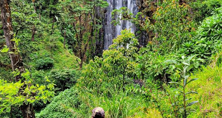 Ciclismo a la cascada Materuni + circuito del café - Oclaa aventuras - Oclaa Adventures Tanzania 3