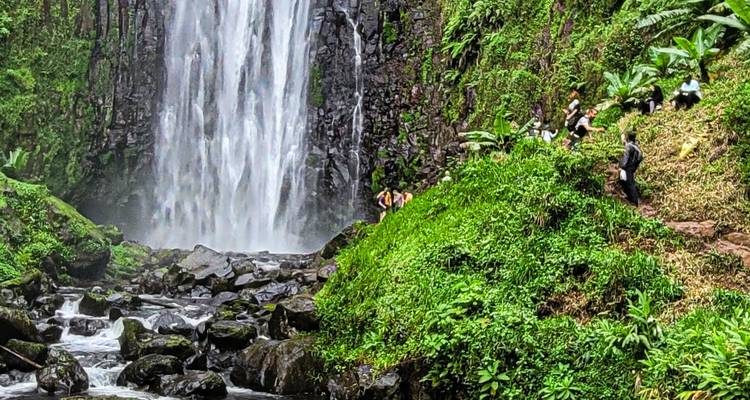 Ciclismo a la cascada Materuni + circuito del café - Oclaa aventuras - Oclaa Adventures Tanzania 4