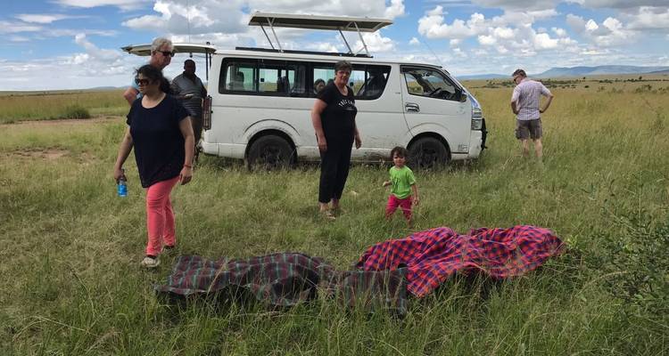 11 jours et 10 nuits de safari au Kenya et en Tanzanie avec hébergement privé, première nuit gratuite à l'hôtel Best Western plus Westlands Nairobi et prise en charge gratuite à l'aéroport. - Perfect Safari Africa tours and safaris 10
