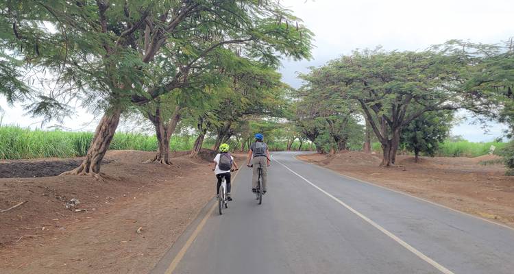 Cycle to TPC Sugarcane Plantations | Oclaa Adventures - Oclaa Adventures Tanzania 2