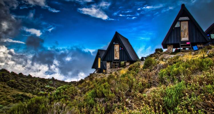 A la cima de África: Ascenso de 6 días al Monte Kilimanjaro (Ruta Marangu) - Pam Tours and Travel  3