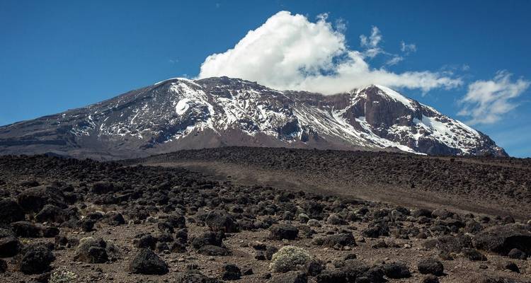 A la cima de África: Ascenso de 6 días al Monte Kilimanjaro (Ruta Marangu) - Pam Tours and Travel  1