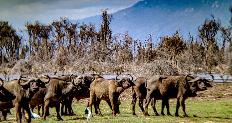 Cycle Kili to Lake Manyara National Park | Oclaa Adventures - Oclaa Adventures Tanzania 3