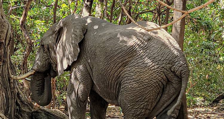Cycle Kili to Lake Manyara National Park | Oclaa Adventures - Oclaa Adventures Tanzania 4