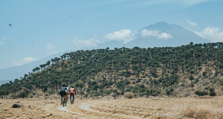 Cyclists on a path with rolling hills and a mountain in the background.