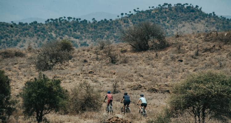 Three cyclists biking through a dry, bushy landscape.