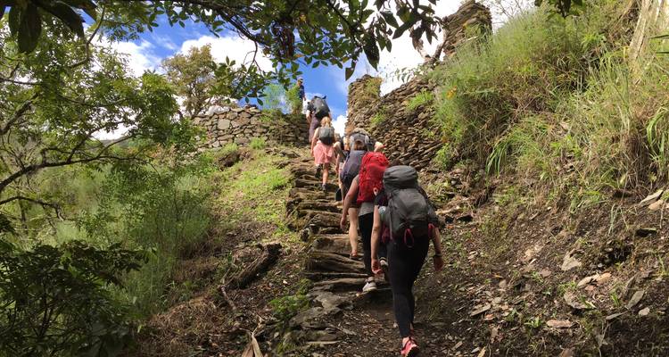 Inca Jungle Trail to Machu Picchu - Vidal Expeditions 10