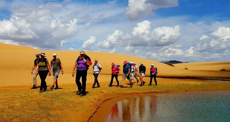 Group of hikers walking near a desert oasis.