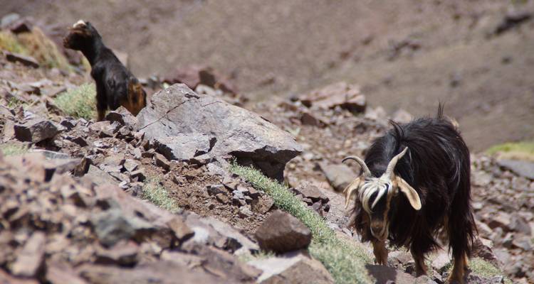 Randonnée de 4 jours dans les villages berbères et ascension du Mont Toubkal au départ de Marrakech - Desertbrise Travel 1