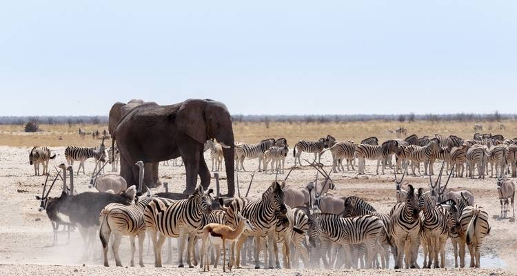 23 Days best of Namibia & Botswana - Discovery Transfers and Tours 3