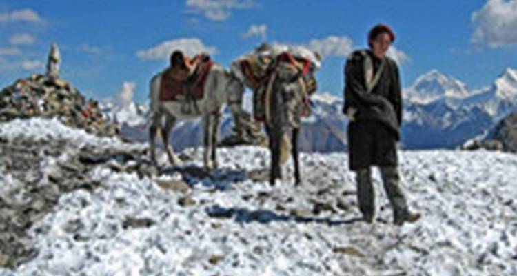Lower Dolpo Trek 21 jours - Nepal Nomad Trekking Pvt. Ltd. 4