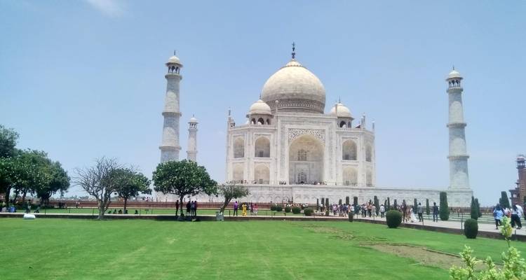 Golden Triangle Tour with Pushkar with Camel Safari - Sunil day tours 1