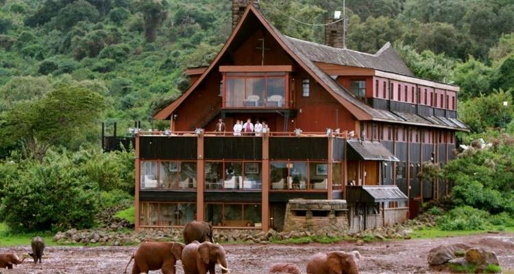 7 Days Big five Watch safari - African Breeze Safaris 6