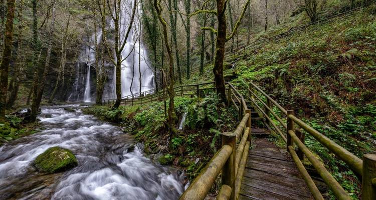 Cascada del bosque con un puente de madera sobre un arroyo.