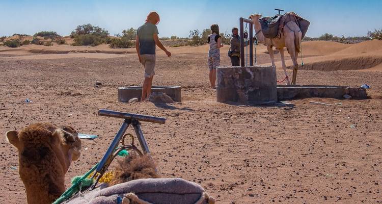 4 días de excursión en camello por el desierto de Marruecos - Desertbrise Travel 4