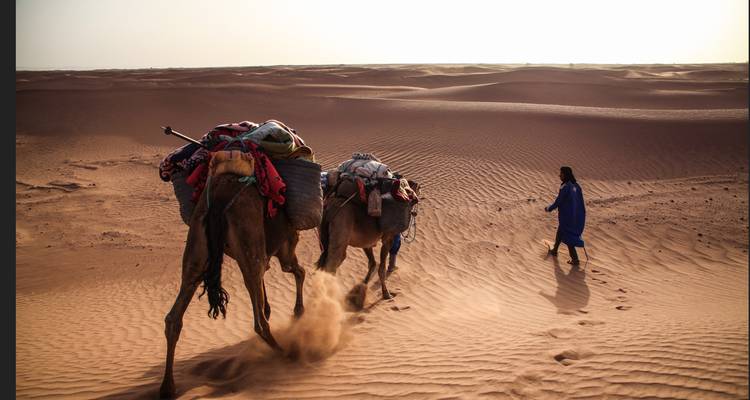 Scène de désert avec deux chameaux portant des paquets menés par une personne qui marche.
