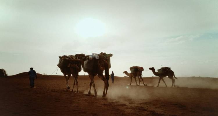 Retiro de Yoga y Senderismo en Marruecos: Viaje de 6 días de Naturaleza, Movimiento y Quietud - Desertbrise Travel 4
