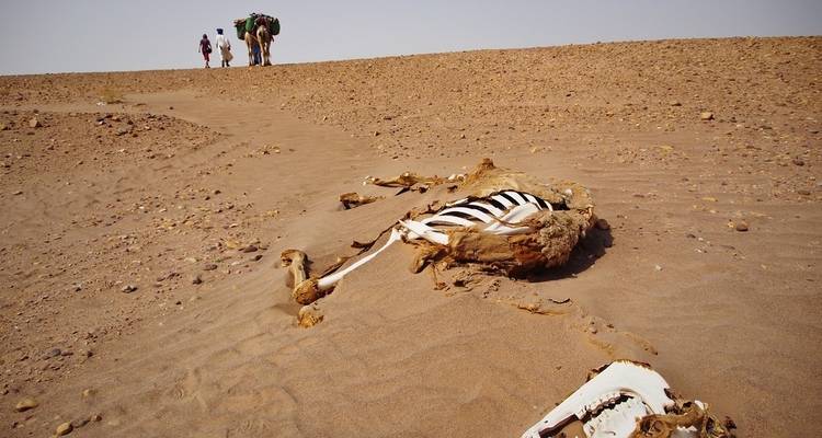 Retiro de Yoga y Senderismo en Marruecos: Viaje de 6 días de Naturaleza, Movimiento y Quietud - Desertbrise Travel 6