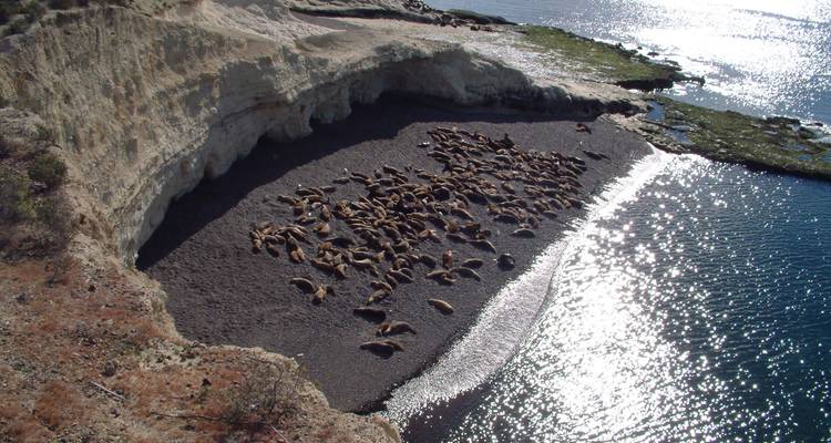 Vie sauvage Puerto Madryn - People Travel and Experience 9