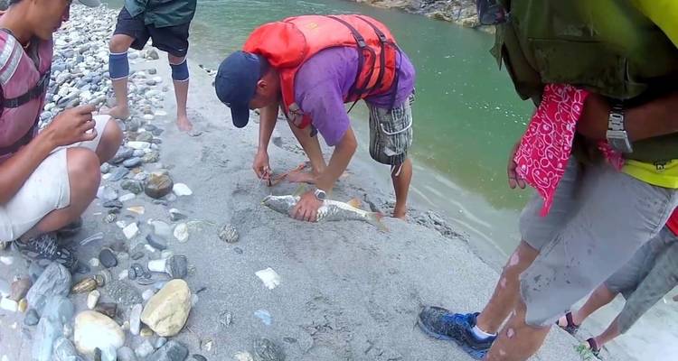 Group of people fishing near a river.
