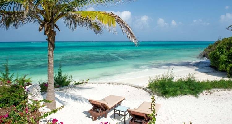 Zanzibar 4 jours - Kilimanjaro Safari Experience 3