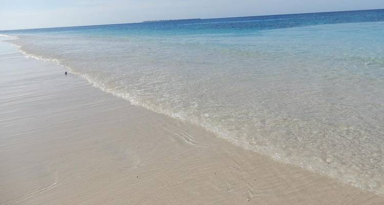 Orilla de la playa con mar tranquilo y cielo despejado.