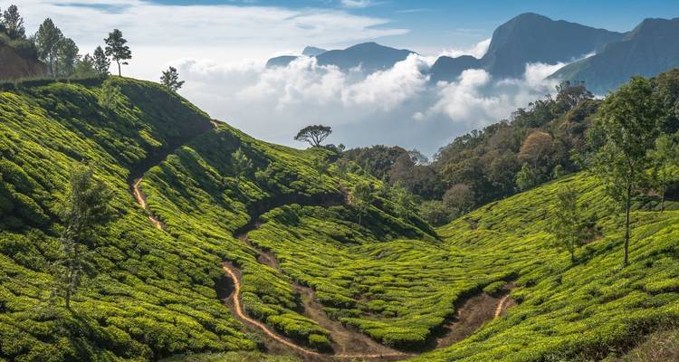 India and Bhutan Tour - UncleSam Holidays 2