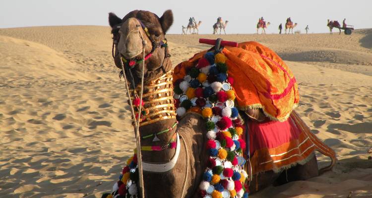 Rajasthan and Taj Mahal Tour - UncleSam Holidays 2