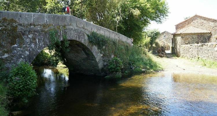 Camino de Santiago: Camino francés desde Sarria - 100 km - Uncommon Tours 4