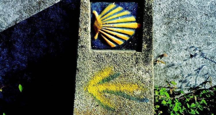 Camino de Santiago: Camino francés desde Sarria - 100 km - Uncommon Tours 2