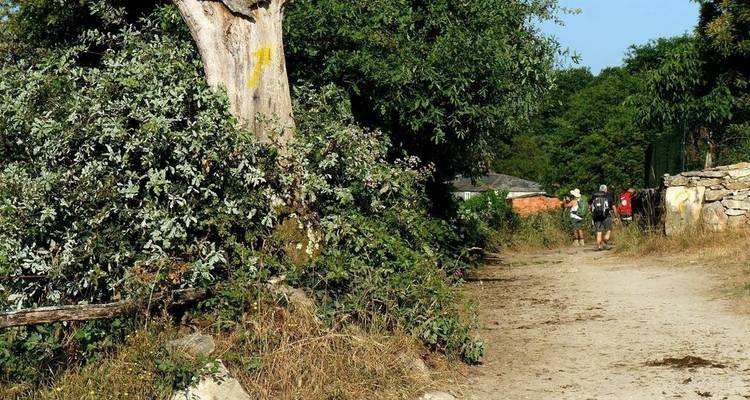 Camino de Santiago: Camino francés desde Sarria - 100 km - Uncommon Tours 3