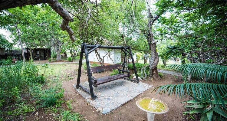 6 Day Classic Kruger Park Safari - Viva Safaris 8