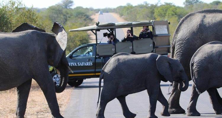 6 Day Classic Kruger Park Safari - Viva Safaris 4