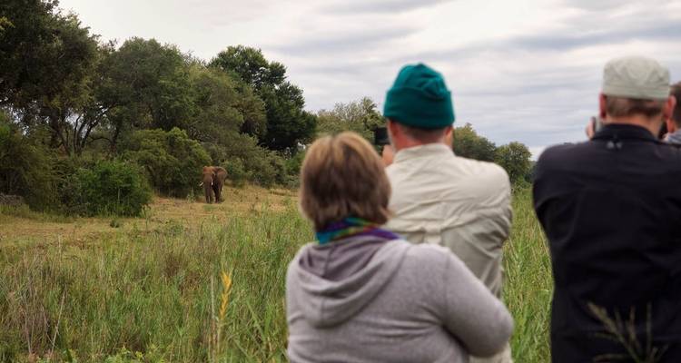 6 Day Classic Kruger Park Safari - Viva Safaris 7