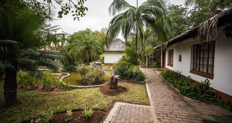 6 Day Classic Kruger Park Safari - Viva Safaris 10
